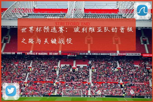 世界杯预选赛：玻利维亚队的晋级之路与关键战役