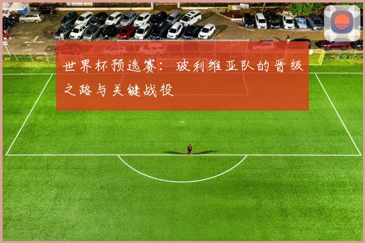 世界杯预选赛：玻利维亚队的晋级之路与关键战役